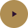 Alan Video Play